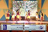 Food Festival Celebration Annual Function